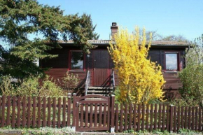 Charmantes Ferienhaus in Lauter mit Großem Garten